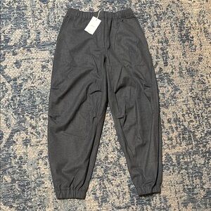 Brand New Aritzia Gray Jogger Pants